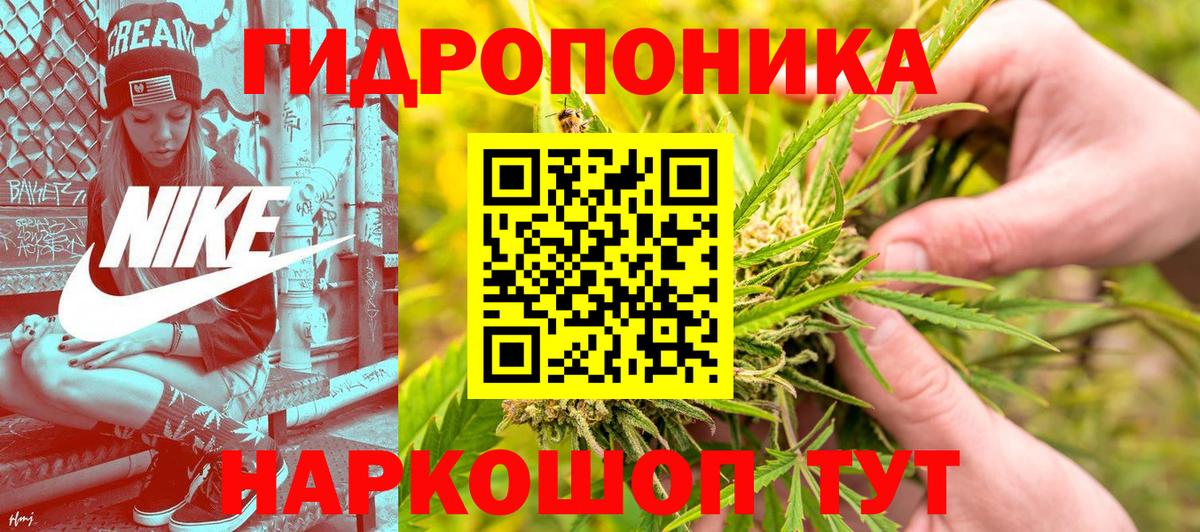 МАРИХУАНА план  Каннабис сатива  Шишки марихуана конопля  МАРИХУАНА THC 21%  Вход с VPN  Камышин 